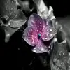 maebarry - @maebarry - TikTok