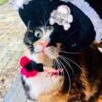 Ellie Mae Bartlett - @capnelliemaebartlett - Instagram