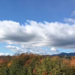 Mae Bartlett - @marybartlett363 - Instagram