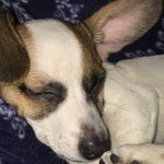 Weinie Mae Bartlett - @weinie_17 - Instagram