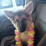 Daisy Mae Bauer - @daisymaeworld - Instagram
