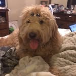 Ivy Mae Lily Baughman - @oh_look_somebody_loves_me - Instagram