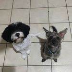 Lula Mae & Baxter - @lulamae_baxter - Instagram