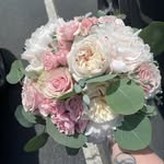 Mae Bean Designs - @maebeandesigns - Instagram