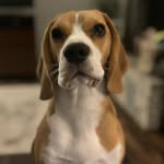 Mae Bean Morgan - @missmaebean - Instagram