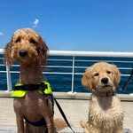 Maebe - @maebeandwinston - Instagram