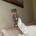 maebean - @idonteatbeans4 - Instagram