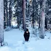 Mae Beard546 - @maebeard0 - TikTok