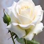 Mae Pablo Bello - Facebook