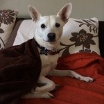 Phoenix Mae Berger - @phoenixsplayground - Instagram