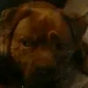 holliemaebiggs - @teddybeary25 - TikTok