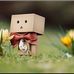 Mae Bird - Facebook