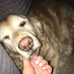 Mae Bird Brown - @mae._.bird - Instagram
