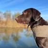 Mae Bird Hunting - @maebirdhunts - TikTok