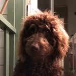 Mae Bird Jeane-Blazina - @mae_bird_jeane - Instagram