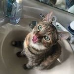 Mae Beth Bishop - @maebeth.bishop - Instagram
