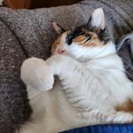 Mae Blount - @ma3b3ll - Instagram
