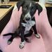 Honey Mae Bollinger - Facebook