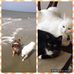 Mae Boone - Facebook