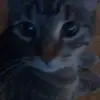 carla - @carlamaeboucher - TikTok