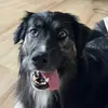 Mae-Anne Boucher - @maeboucher - TikTok