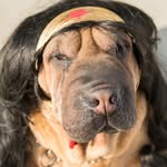 Mae Boucher - @madame_wrinkles - Instagram