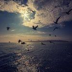 Joanna yduhaxtml Bourgeois - @maebowman_697682 - Instagram