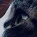 Mae Boyer - Facebook