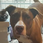 Sadie Mae Branch - @sadiemaexvenomhoudini - Instagram