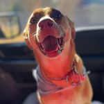 Hazel Mae Bridges - @hazelmaebridges - Instagram