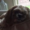 It’s Mae - @mae.bridges - TikTok