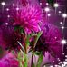 Mae Bright - Facebook