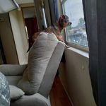 Iris Mae Bruce - @bruceiris - Instagram