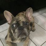 Maria Vitoria (mãe so Bruce) - @maria_mae_do_bruce_e_bruce_ - Instagram