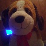 allie mae buchanan - @dog_lovers_1465 - Instagram