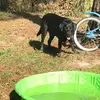 Nessie - @ronesmae.buchanan - TikTok