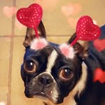 Elizabeth Buckler - @mae_buckler - Instagram