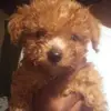 Lisa Mae Buckner - @lisamaebuckner - TikTok
