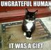 Mae Briggs - Facebook