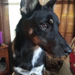 Mae Bunch - @maebunch2 - Instagram
