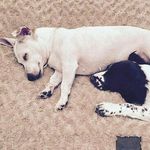 lilli mae burrows - @lillimaeburrows - Instagram
