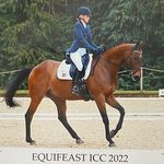 Lucy Mae Bush - @lucymaeparadressage - Instagram