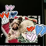 Laura Mae Cagle-Hartje - @lcagle58 - Instagram