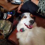 Marley - @marley_mae_callahan - Instagram