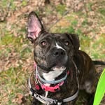 Remy Mae Caron - @fortheloveofremy - Instagram