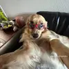 tillymaecartwright - @tillymaecartwright_x - TikTok