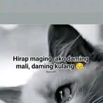 Mae Case - Facebook