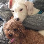 Mia Mae And Castle - @miancastle - Instagram
