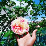 Grandir ensemble - @maecha_oniah - Instagram