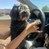maekayla - @maekayla_saechao_ - TikTok